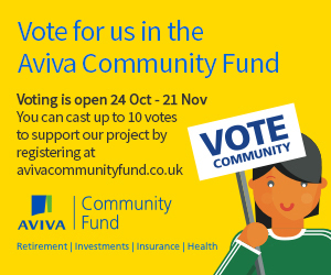 Aviva community fund vote